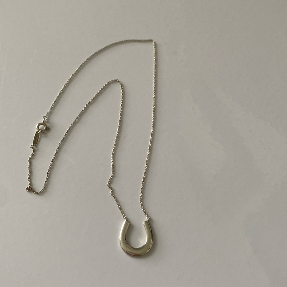 Tiffany & Co Horseshoe necklace
